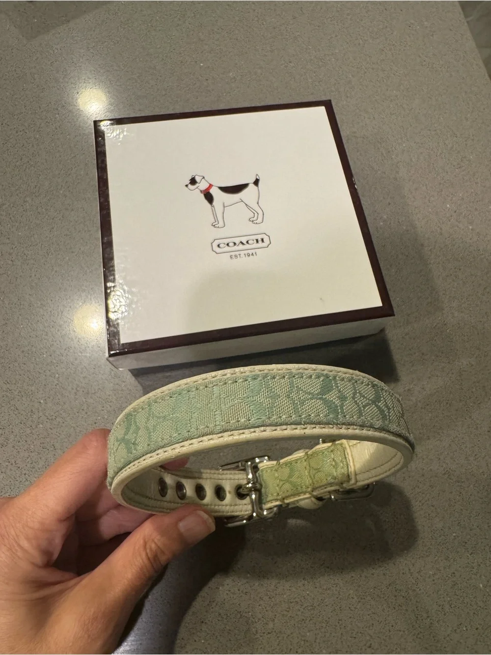 Coach Signature Light Blue Dog Collar size small